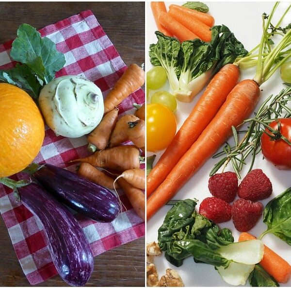 Gesund Rezept Schnell: Einfache Alltagsgerichte